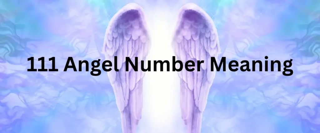 111 angel number meaning
