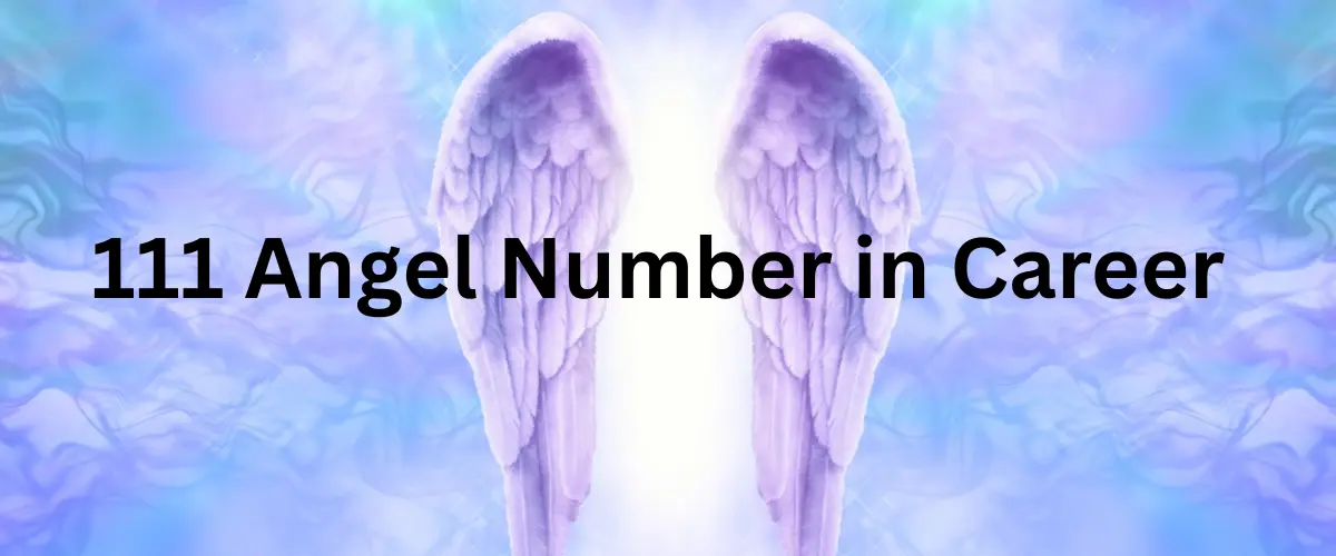 111 angel number meaning in career
