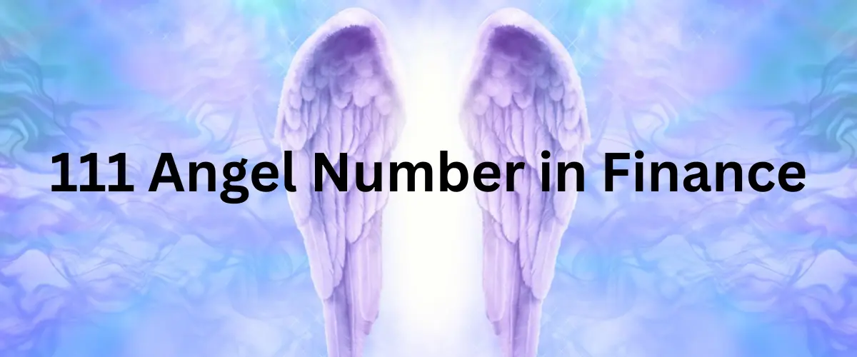 111 angel number meaning in finance